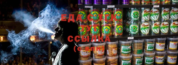 стаф Алзамай