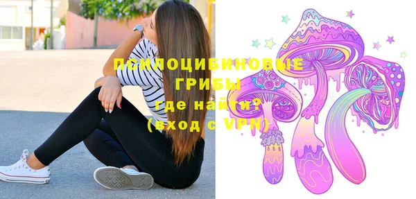 стаф Алзамай