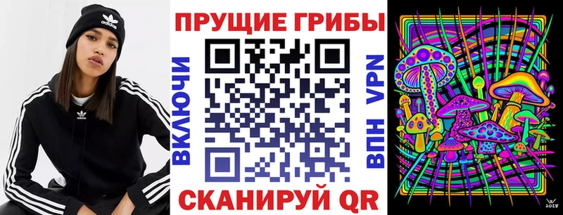 Псилоцибиновые грибы GOLDEN TEACHER  Еманжелинск 