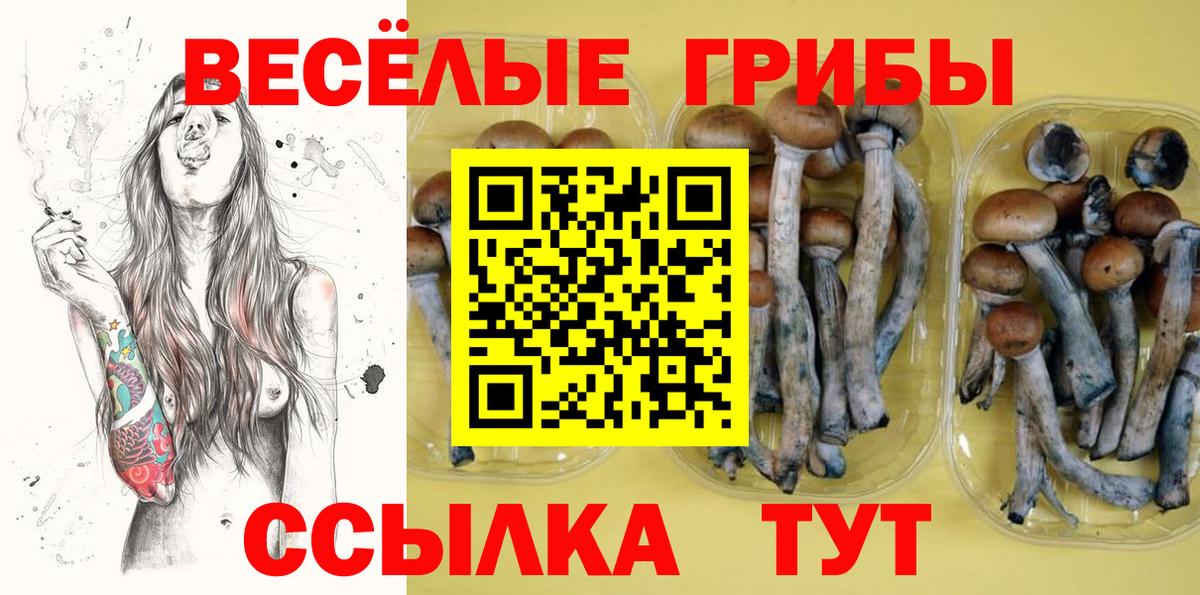 Псилоцибиновые грибы ЛСД  Вход с VPN  Галлюциногенные грибы Cubensis  Еманжелинск 