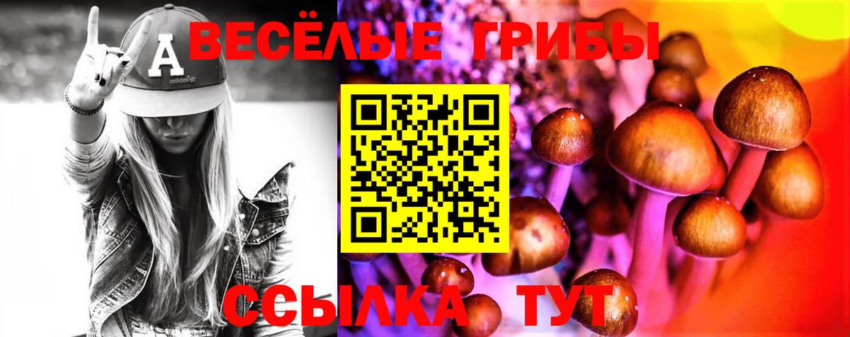 Псилоцибиновые грибы Psilocybe Еманжелинск